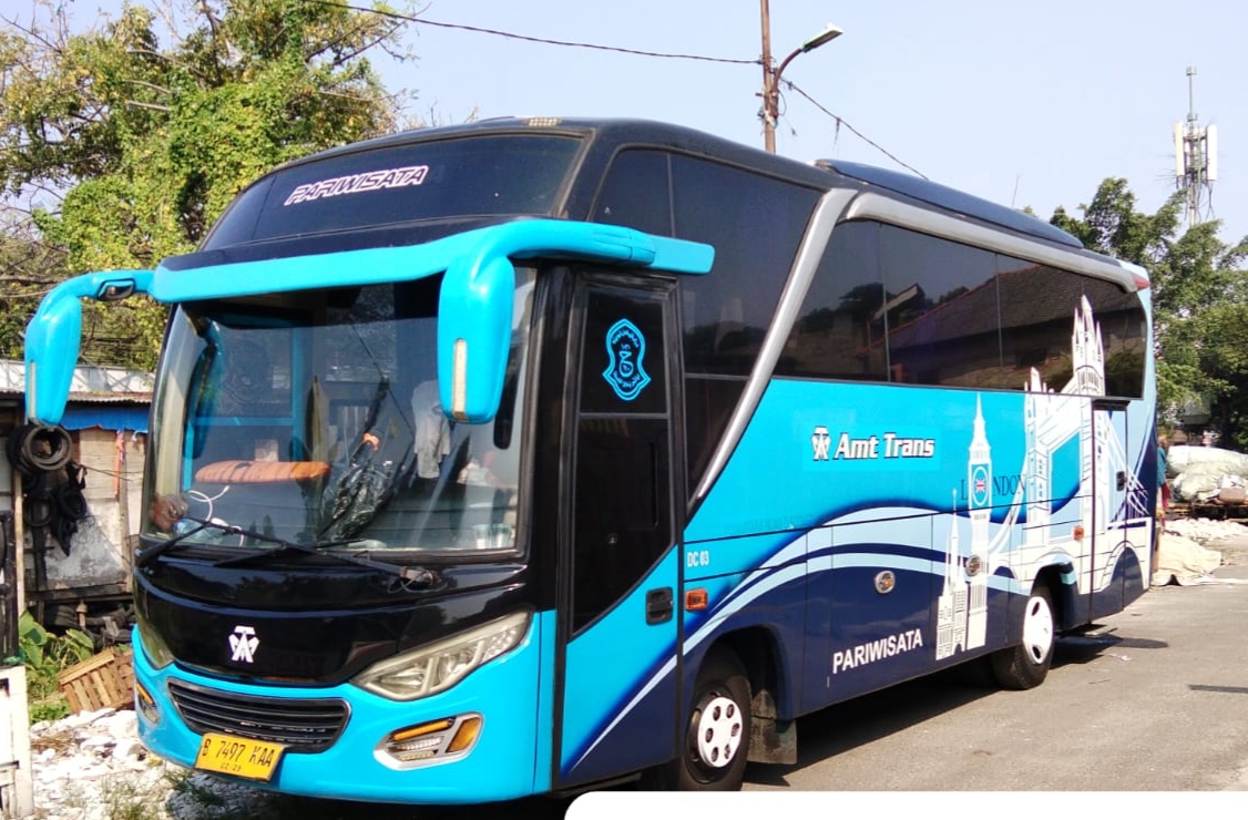 bus